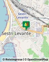 ,16039Genova