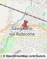 Aziende Agricole Savignano sul Rubicone,47039Forlì-Cesena