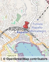 Psichiatria e Neurologia - Medici Specialisti Rapallo,16035Genova