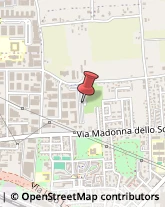 Associazioni Sindacali,47521Forlì-Cesena