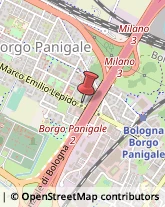 Agenzie di Vigilanza e Sorveglianza,40132Bologna