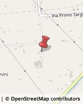 Oli Alimentari e Frantoi Cesena,47521Forlì-Cesena