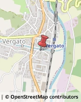 Frutta e Verdura - Dettaglio Vergato,40038Bologna