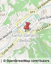 Piante e Fiori - Dettaglio Santo Stefano Belbo,12058Cuneo