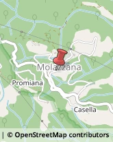 Legname da Costruzione Molazzana,55020Lucca