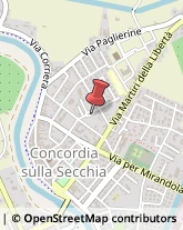 Istituti di Bellezza Concordia sulla Secchia,41033Modena