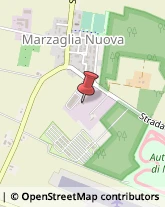 Protezione Civile - Attrezzature Modena,41123Modena