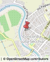 Veterinaria - Ambulatori e Laboratori Concordia sulla Secchia,41033Modena