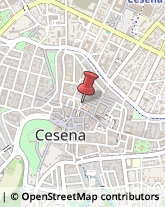 Abbigliamento Donna Cesena,47023Forlì-Cesena