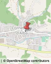 Laboratori Odontotecnici Corneliano d'Alba,12040Cuneo