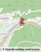 Autofficine e Centri Assistenza,55022Lucca