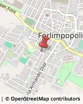 Imprese di Pulizia Forlimpopoli,47034Forlì-Cesena