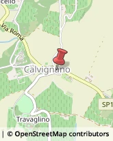 Comuni e Servizi Comunali Calvignano,27040Pavia