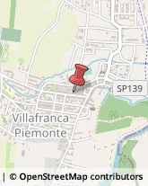 Piante e Fiori - Dettaglio Villafranca Piemonte,10068Torino