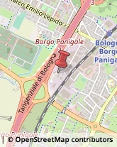 Consolati Bologna,40132Bologna