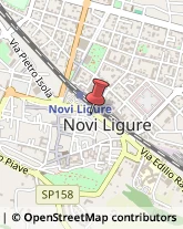 Consulenze Speciali Novi Ligure,15067Alessandria