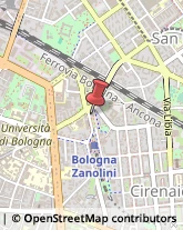 Ricami - Dettaglio,40126Bologna