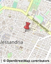 Insetticidi e Anticrittogamici Alessandria,15121Alessandria