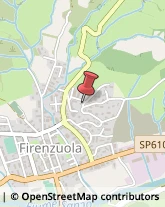 ,50033Firenze