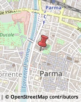 Bulbi e Sementi Parma,43121Parma