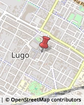 Ottica, Occhiali e Lenti a Contatto - Dettaglio Lugo,48022Ravenna