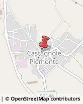 Piante e Fiori - Dettaglio Castagnole Piemonte,10060Torino