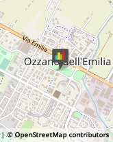 Comuni e Servizi Comunali Ozzano dell'Emilia,40064Bologna