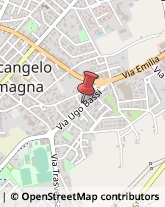 Veterinaria - Ambulatori e Laboratori Santarcangelo di Romagna,47822Rimini