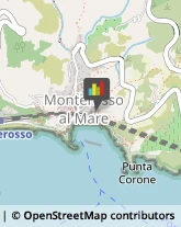 Comuni e Servizi Comunali Monterosso al Mare,19016La Spezia