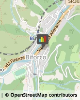 ,50034Firenze