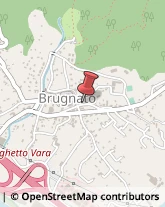 Associazioni Sindacali Brugnato,19020La Spezia