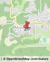 Impianti Sportivi Montese,41055Modena