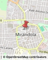 Locali, Birrerie e Pub Mirandola,41037Modena