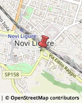 Agrumi Novi Ligure,15067Alessandria