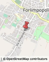 Negozi e Supermercati - Arredamento Forlimpopoli,47034Forlì-Cesena