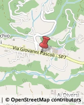 ,55051Lucca