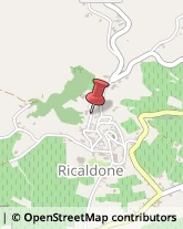 Autotrasporti Ricaldone,15010Alessandria