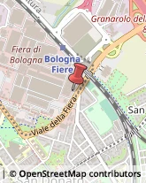 Fiere, Saloni e Mostre - Enti Organizzatori Bologna,40127Bologna