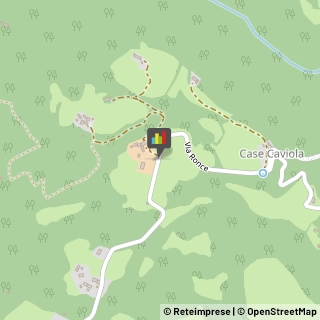 Agriturismi,32100Belluno