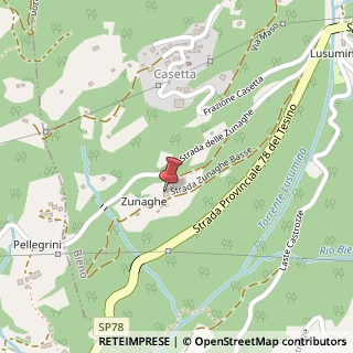 Mappa Localita' Alle Zunaghe, 1, 38050 Bieno, Trento (Trentino-Alto Adige)