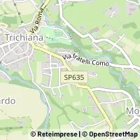 Map Trichiana