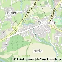 Kort Trichiana