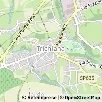 Map Trichiana