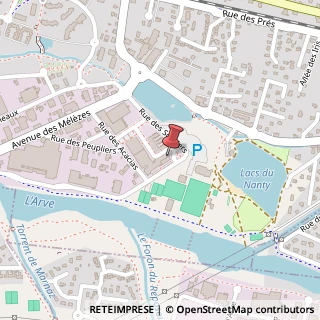 Mappa Rue des Sorbiers, 320, 74300 Asti, Asti (Piemonte)