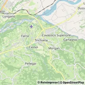 Mappa Trichiana