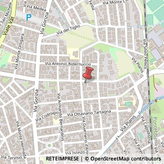 Mappa Via Monte Grappa, 71, 33100 Udine, Udine (Friuli-Venezia Giulia)