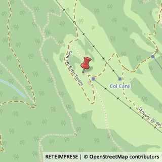 Mappa Sentiero Della forestale, 32100 Nevegal BL, Italia, 32100 Belluno, Belluno (Veneto)