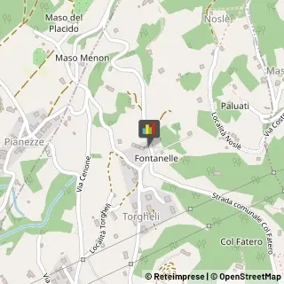 Naturopatia Castel Ivano,38059Trento
