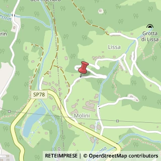 Mappa Località Figliezzi, 3, 38053 Castello Tesino, Trento (Trentino-Alto Adige)