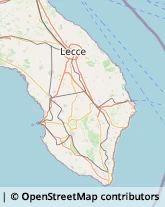 Articoli per Ortopedia Collepasso,73040Lecce